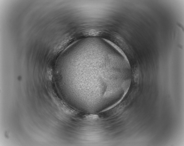 X0000099540374200805301505