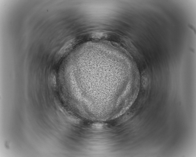 X0000099540375200805301505