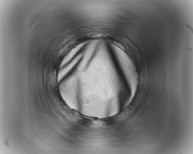 X0000099540376200805301505