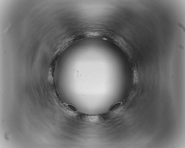 X0000099540377200805301506