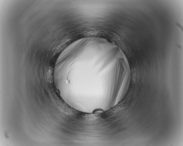 X0000099540378200805301506