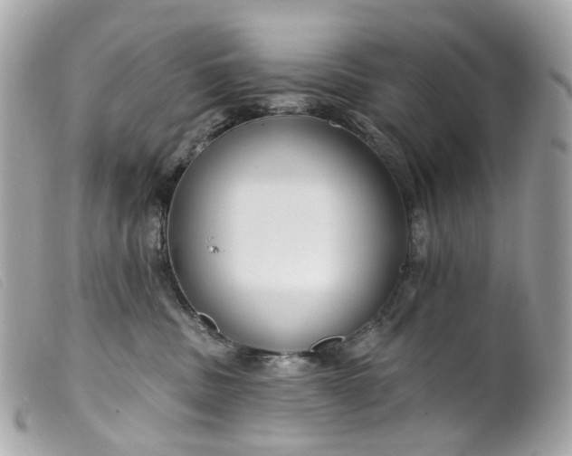 X0000099540379200805301506