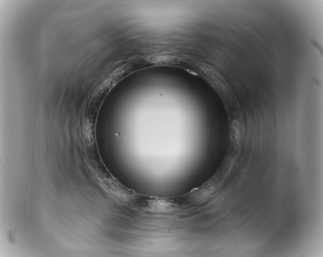 X0000099540380200805301506