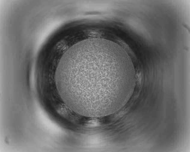 X0000099540381200805301506