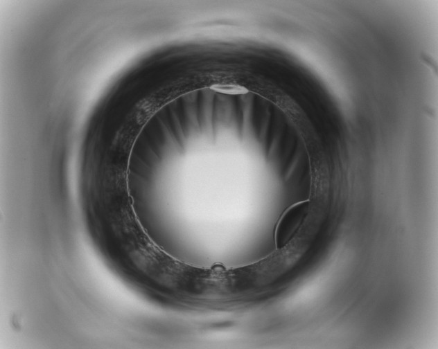 X0000099540383200805301506