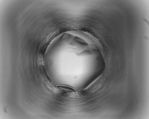 X0000099540384200805301506