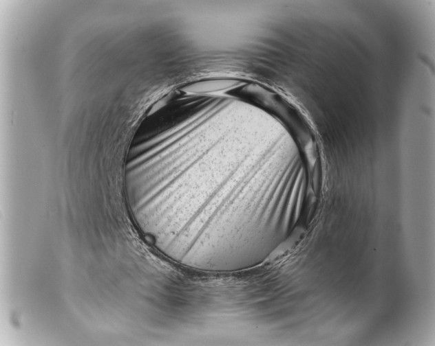 X0000099540385200805301505