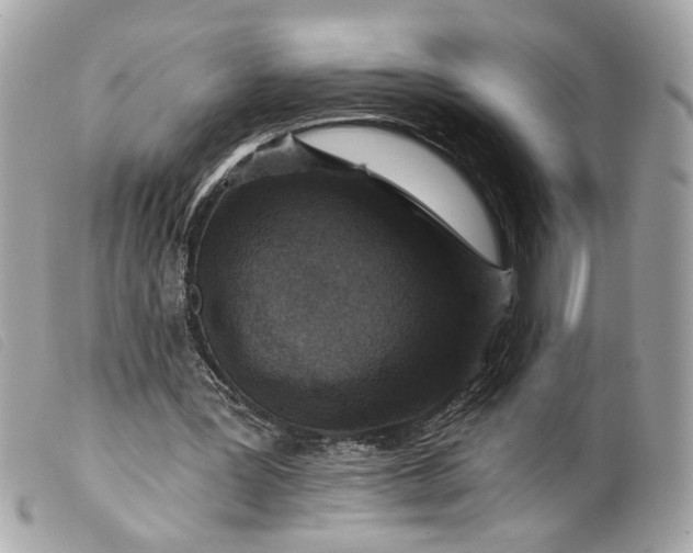 X0000099540387200805301505