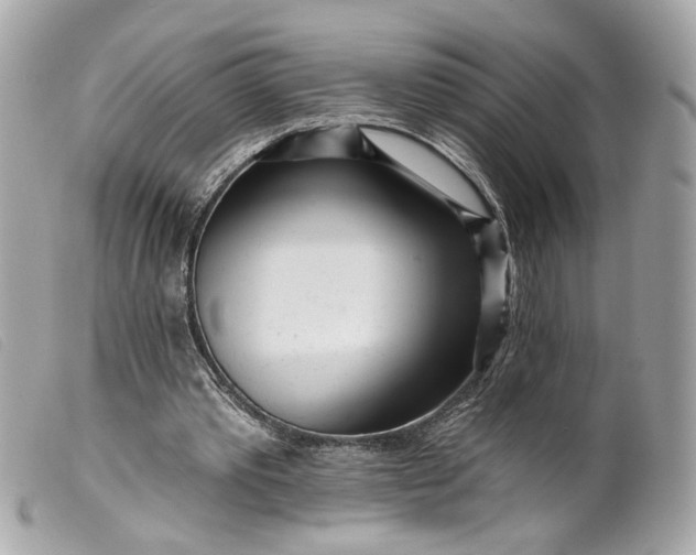 X0000099540389200805301505