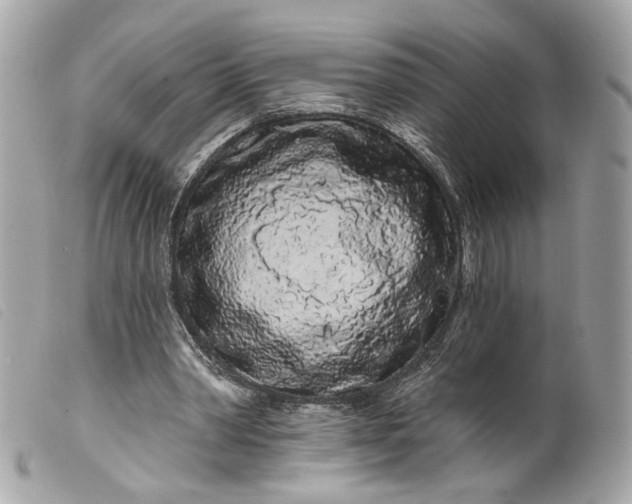 X0000099540390200805301505