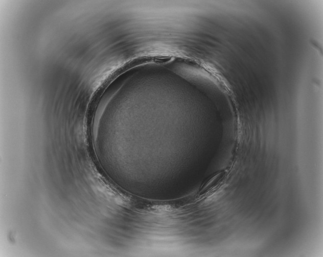 X0000099540391200805301505