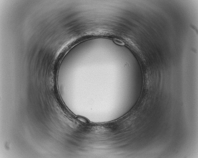 X0000099540392200805301505