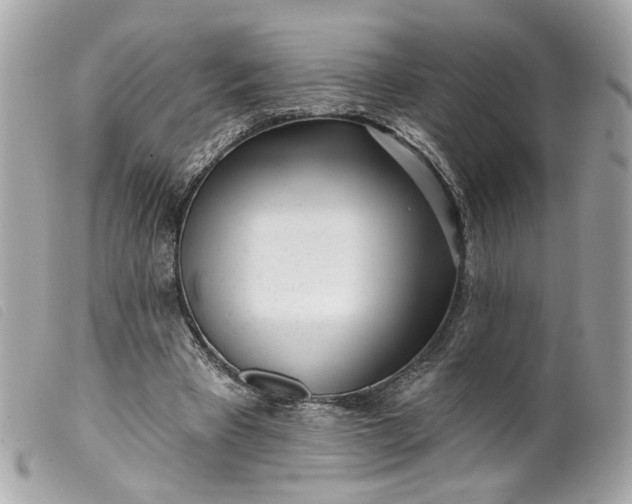 X0000099540393200805301505