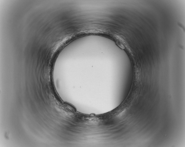 X0000099540395200805301505