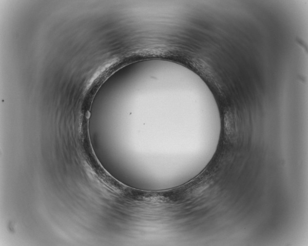 X0000099540396200805301505