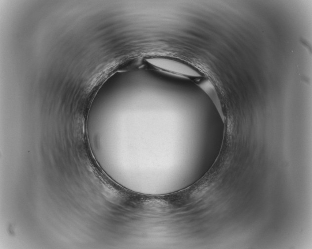 X0000099540397200805301505