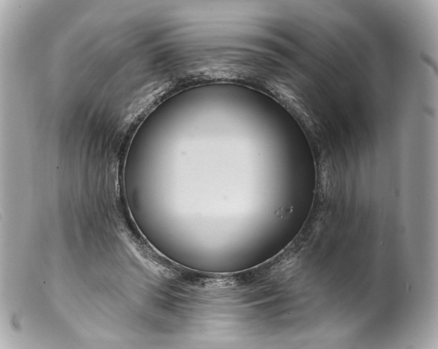 X0000099540398200805301505