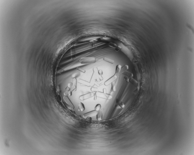 X0000099540399200805301505