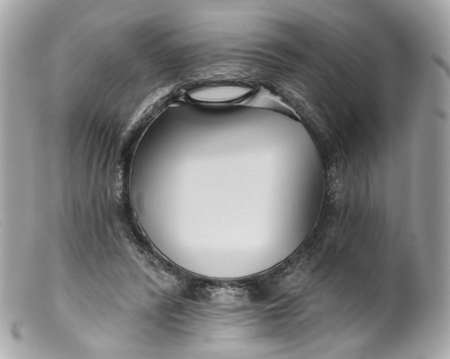 X0000099540400200805301505