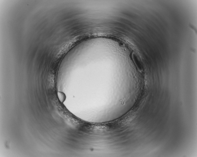 X0000099540401200805301505