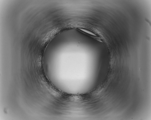 X0000099540402200805301505