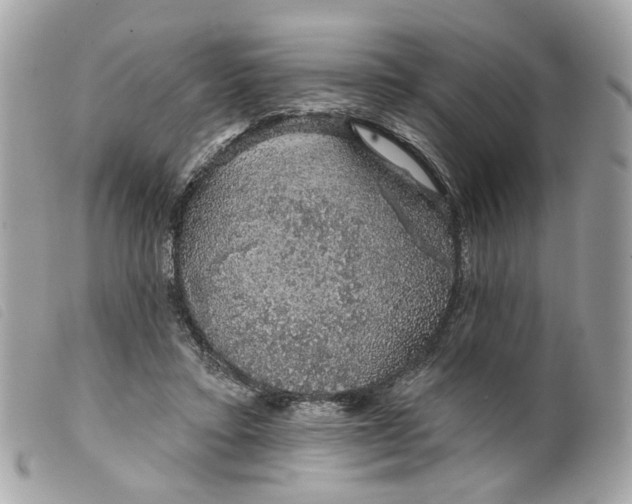 X0000099540403200805301505