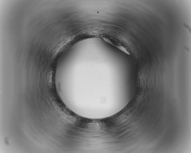 X0000099540404200805301505