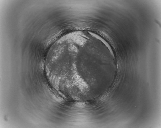 X0000099540405200805301505