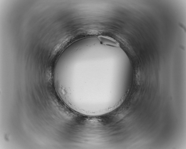 X0000099540407200805301505