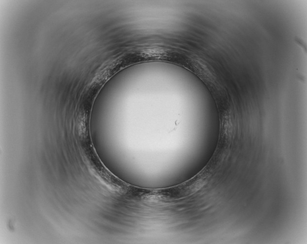 X0000099540408200805301505