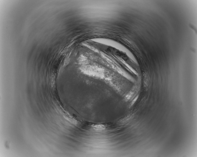 X0000099540409200805301505