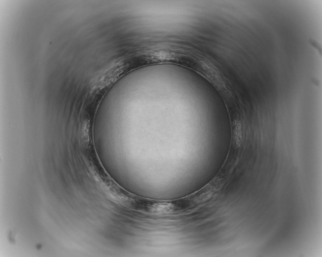 X0000099540410200805301505