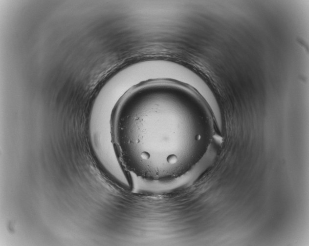 X0000099540411200805301505