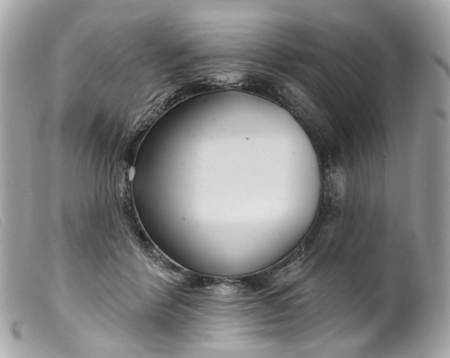 X0000099540412200805301504