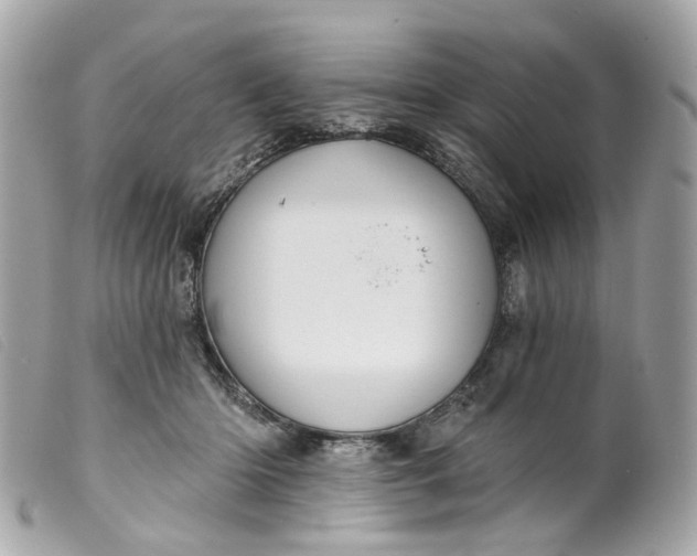 X0000099540414200805301504