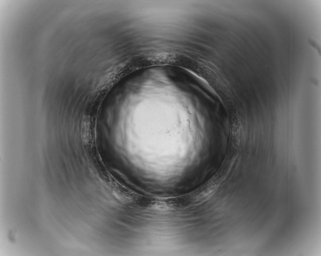 X0000099540416200805301504