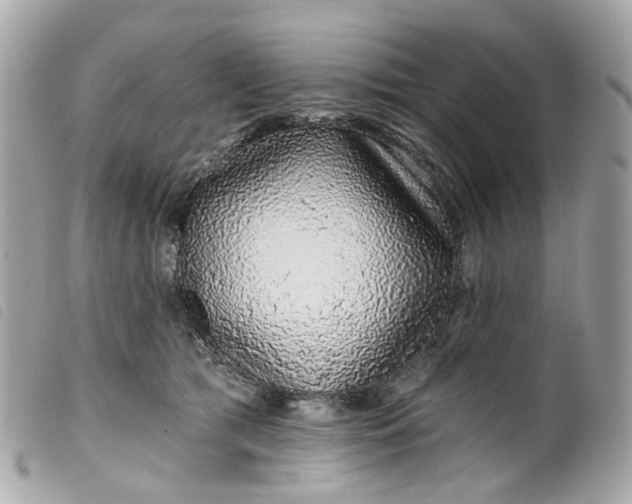 X0000099540417200805301504