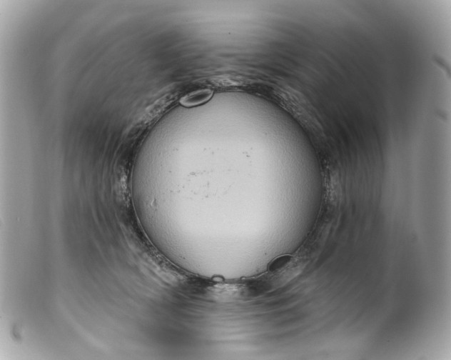 X0000099540418200805301504