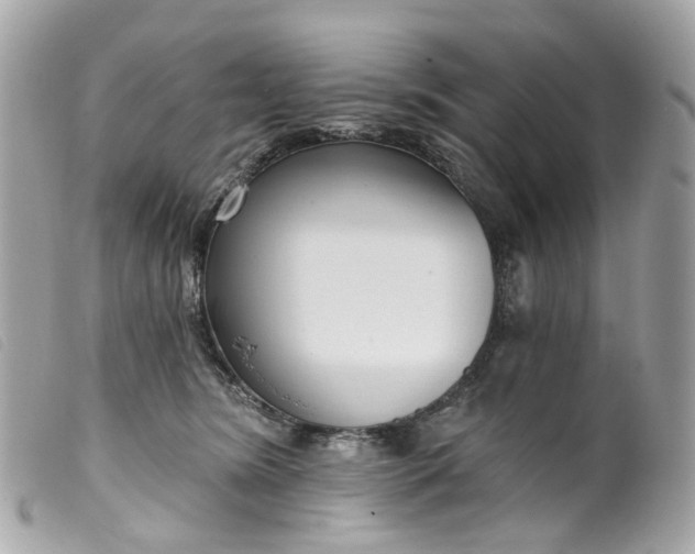 X0000099540420200805301504