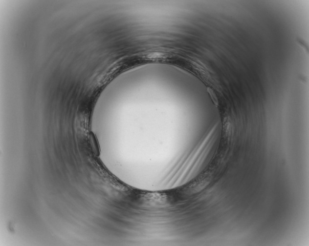 X0000099540421200805301504