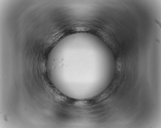 X0000099540422200805301504