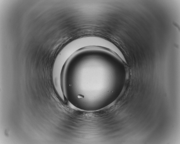 X0000099540423200805301504