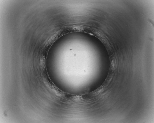 X0000099540424200805301504