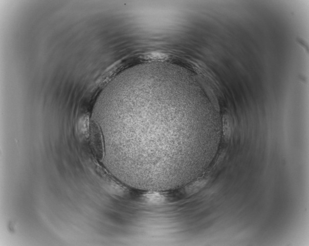 X0000099540425200805301504