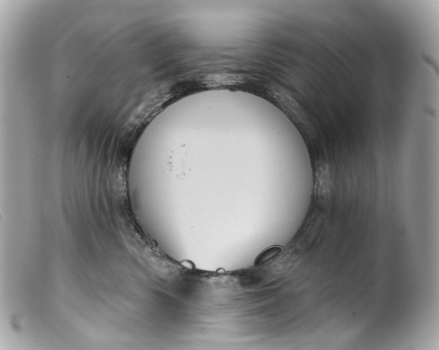 X0000099540426200805301504