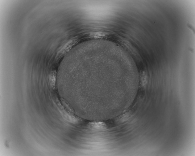 X0000099540427200805301504