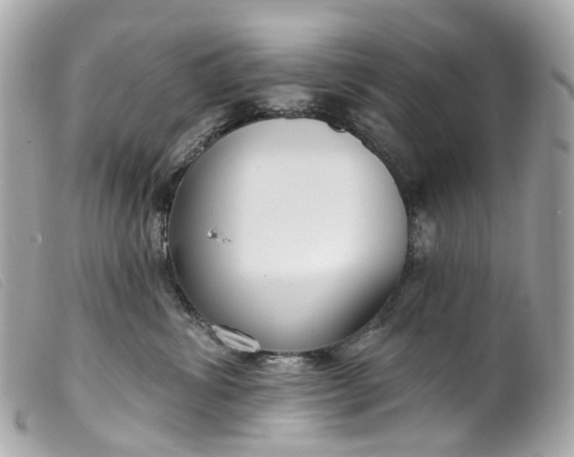 X0000099540428200805301504