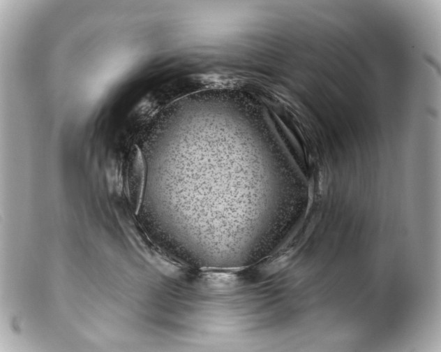 X0000099540429200805301504