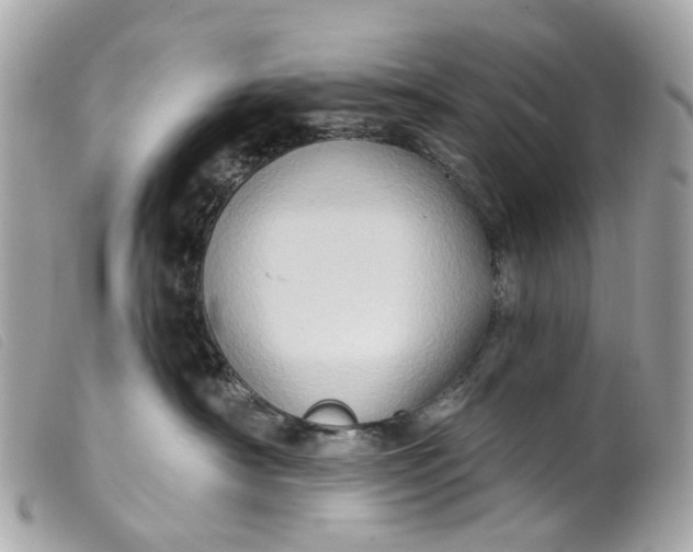 X0000099540430200805301504