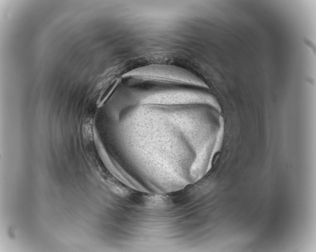 X0000099540432200805301504